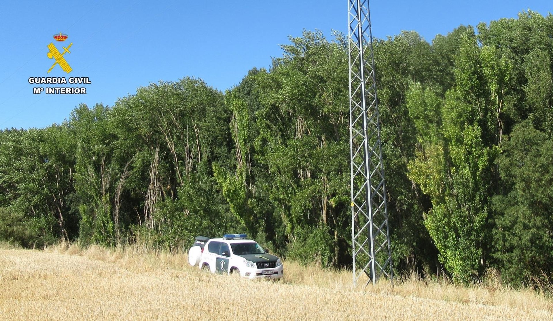 Investigado el dueño de una mini central hidraúlica que provocó la muerte de aves protegidas en Palencia