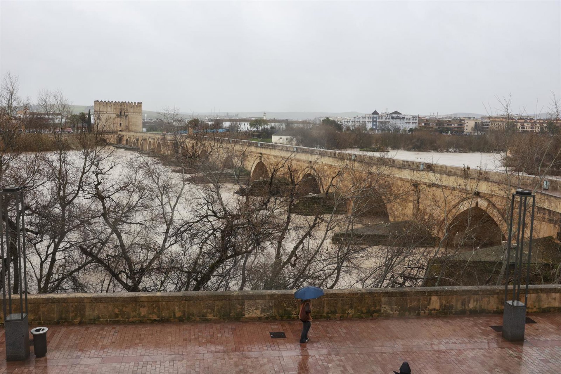 El río Guadalquivir roza los seis metros de altura a su paso por Córdoba durante el fin de semana