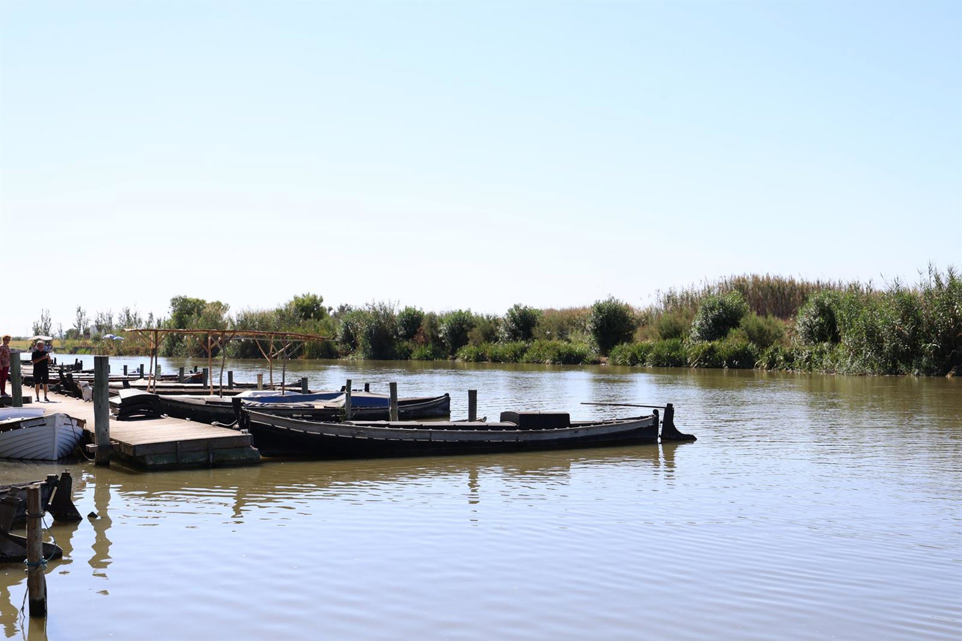 L’Albufera pierde 10 centímetros de profundidad en dos décadas en un proceso agravado por la dana