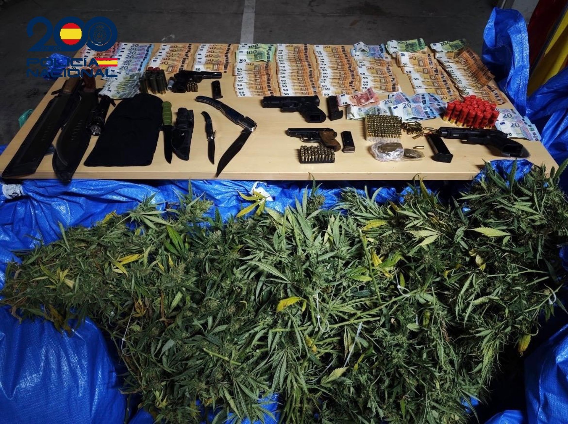 Detenidos 12 miembros de varios clanes familiares dedicados al cultivo de marihuana en el Polígono Sur