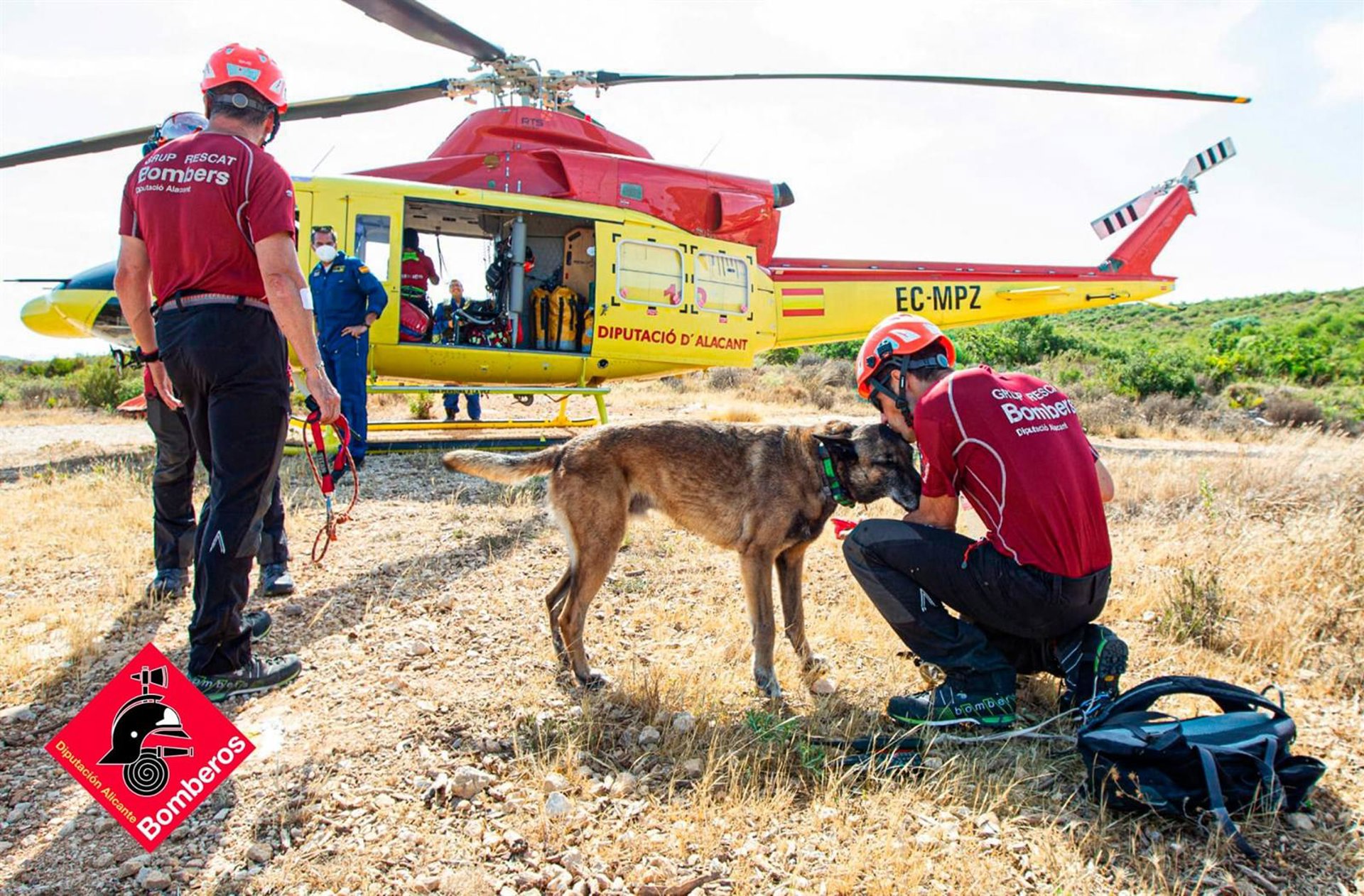 Muere Titan, un perro del Consorcio de Bomberos de Alicante con más de 80 búsquedas y «una hoja impecable»