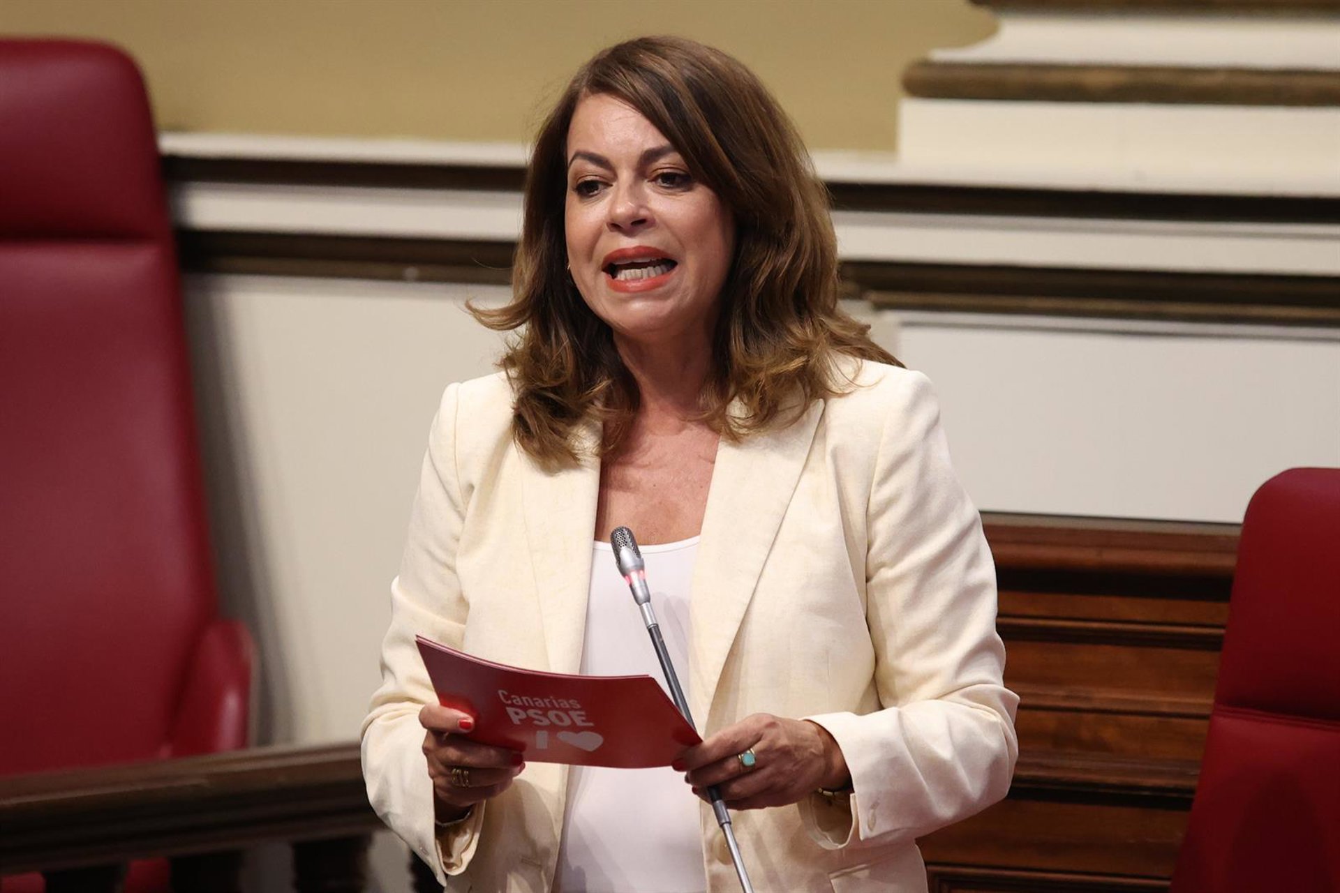 PSOE de Tenerife acusa a Clavijo y Dávila de «alimentar el miedo» ante la llegada del ‘MV Hondius a la isla