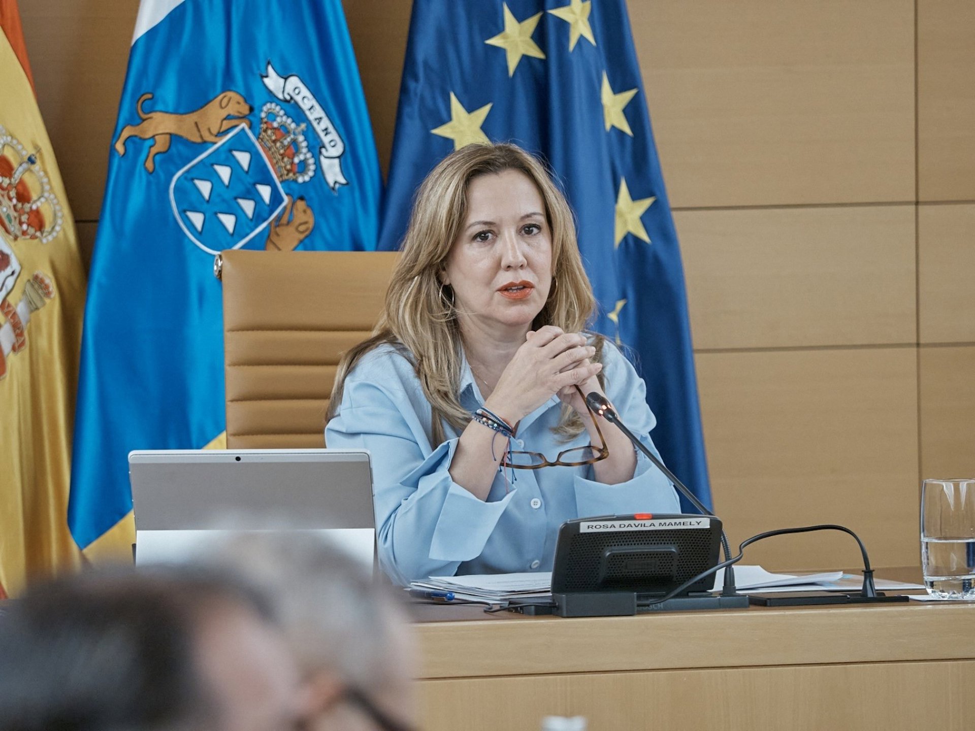 El Cabildo de Tenerife afea la «unilateralidad» de un Gobierno «soberbio» en su gestión con ‘Mv Hondius’