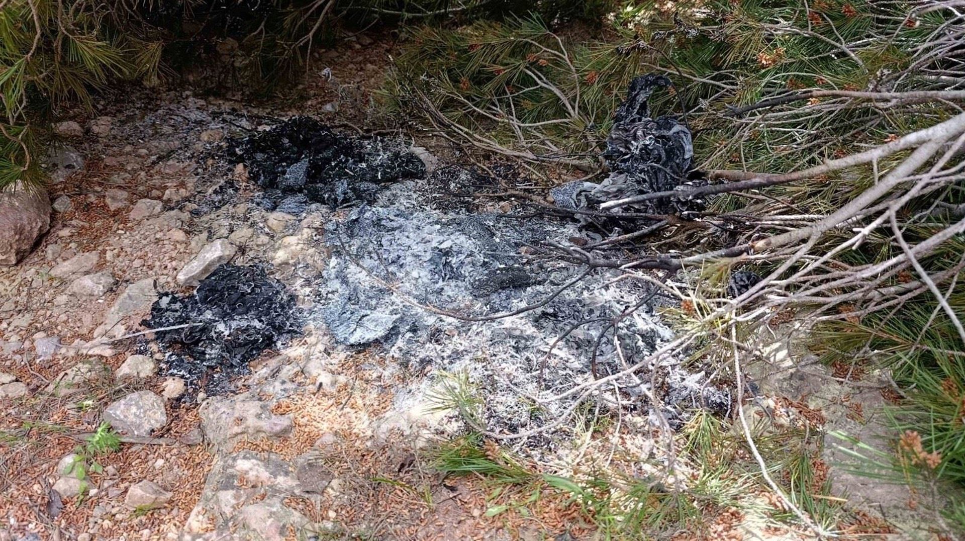 Detenidos un hombre y una mujer en Reus por tres incendios provocados en el Baix Camp (Tarragona)