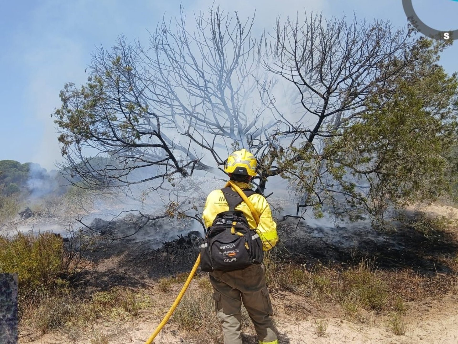 La Estación Biológica es optimista ante la recuperación en Doñana pero ve «pronto» analizar el impacto del fuego