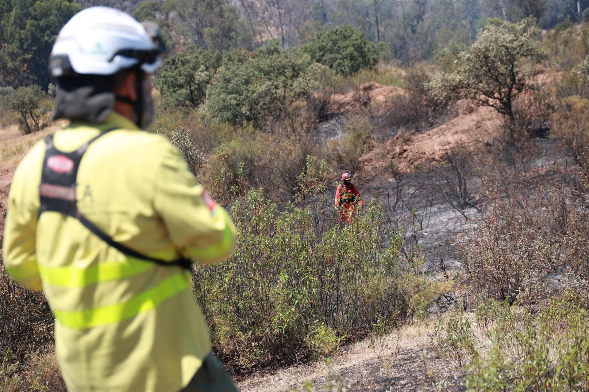 AV.-Sanz señala que el incendio de Castillejos supera las 5.000 hectáreas y destaca «acciones eficaces»