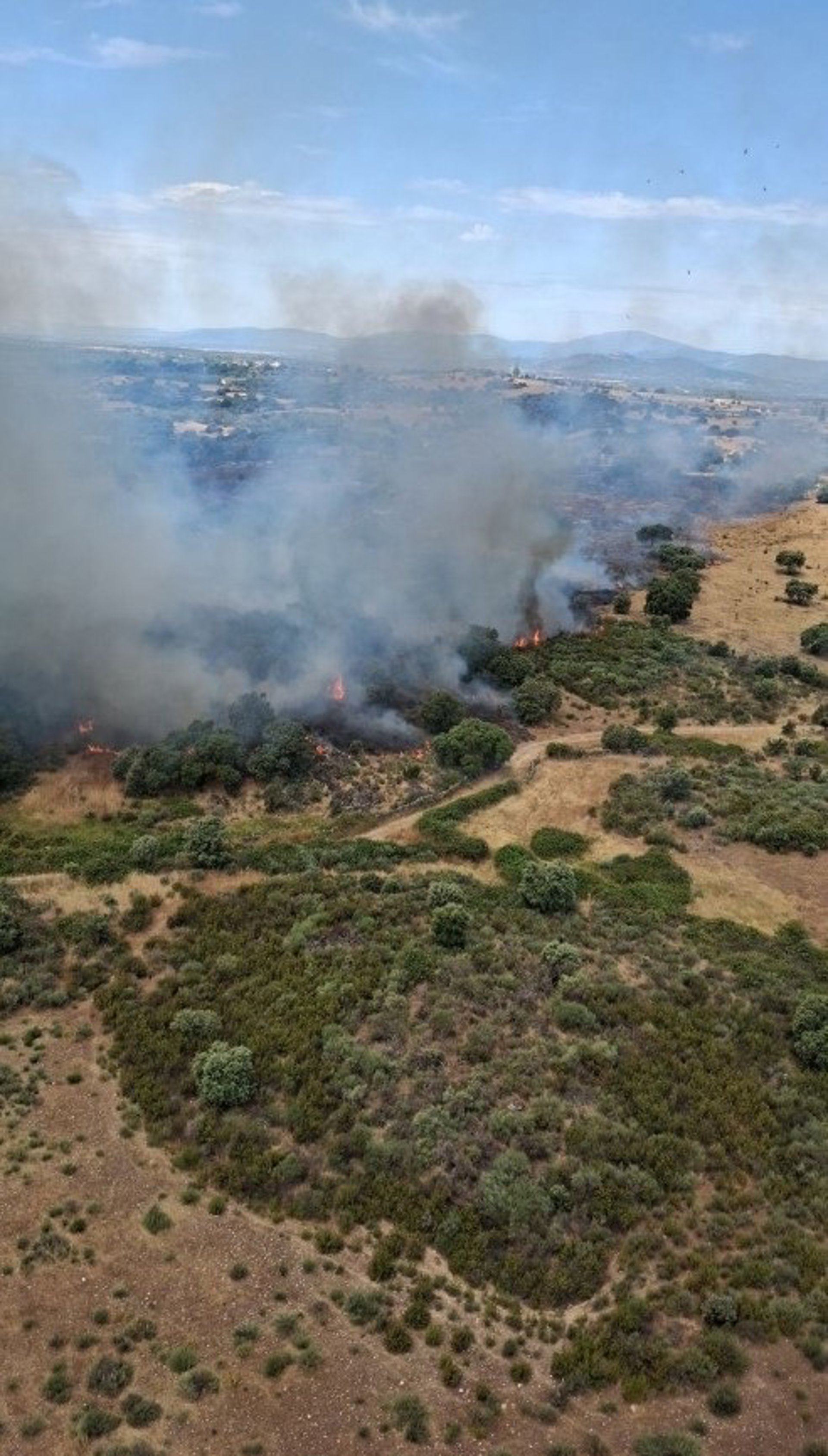 Seis medios aéreos trabajan en la extinción de un incendio forestal en Pozuelo de Zarzón (Cáceres)