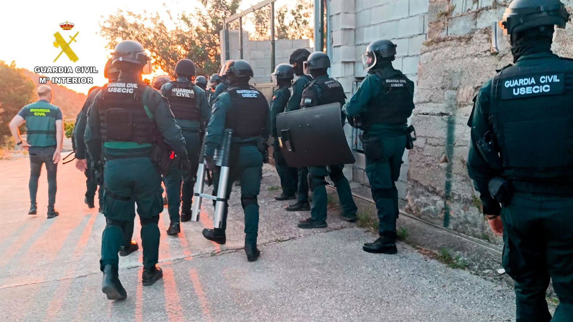 Desmantelan una doble plantación de marihuana en Oliva y detienen a cuatro hombres