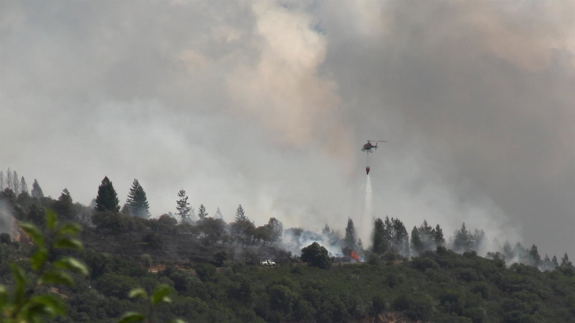 El Bierzo concentra unas 1.600 hectáreas quemadas tras los fuegos ocasionados por rayos en los últimos días