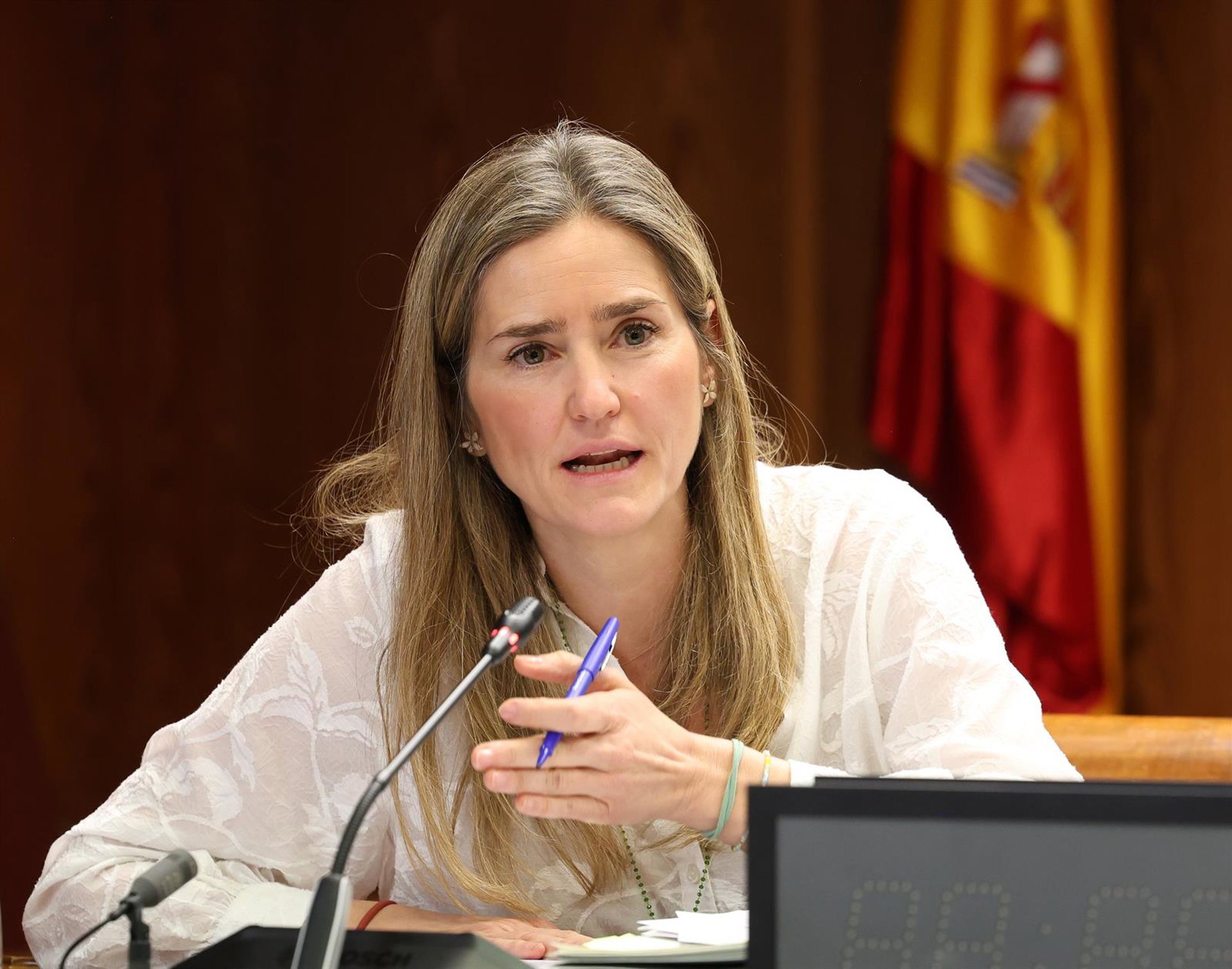 El Senado interroga esta semana a la vicepresidenta Aagesen y al DAO de la Guardia Civil