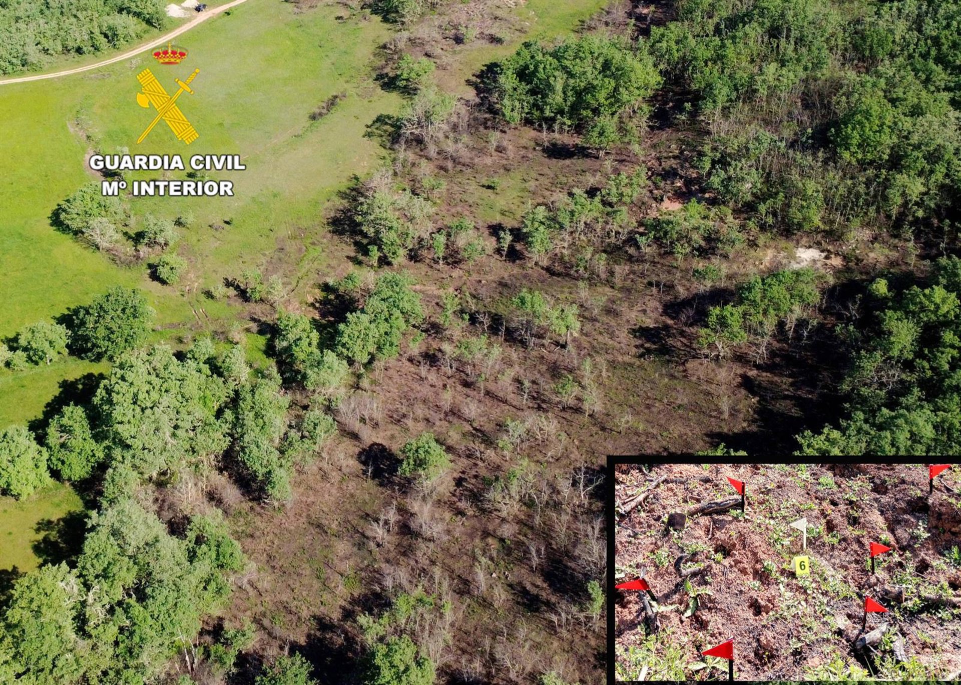Investigado un hombre de 70 años como autor de un incendio forestal en Valderredible