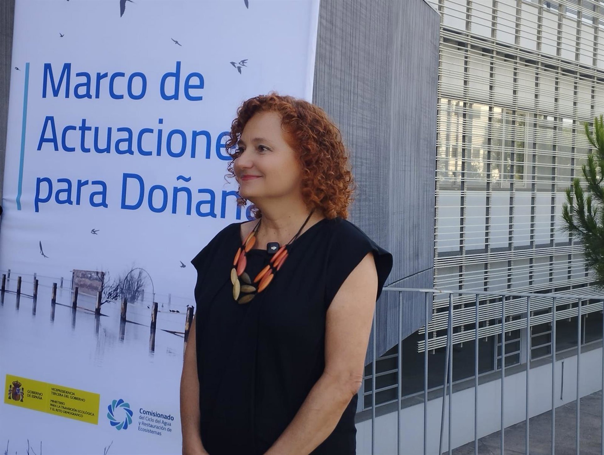 El Gobierno defiende que las ayudas de Doñana están «muy avanzadas» a falta de «documentación fundamental»
