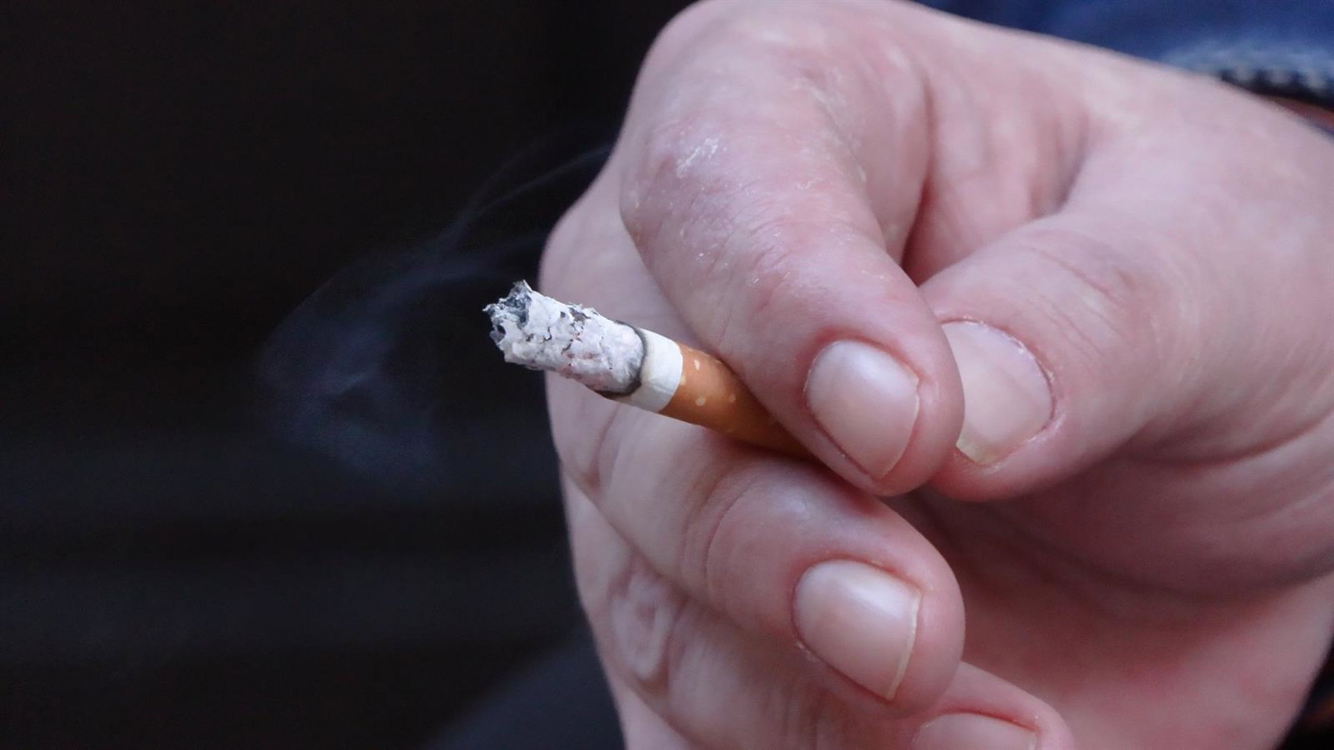 Asturias comparte la reforma de la Ley de Tabaco y recuerda que «la prioridad es la salud de las personas»