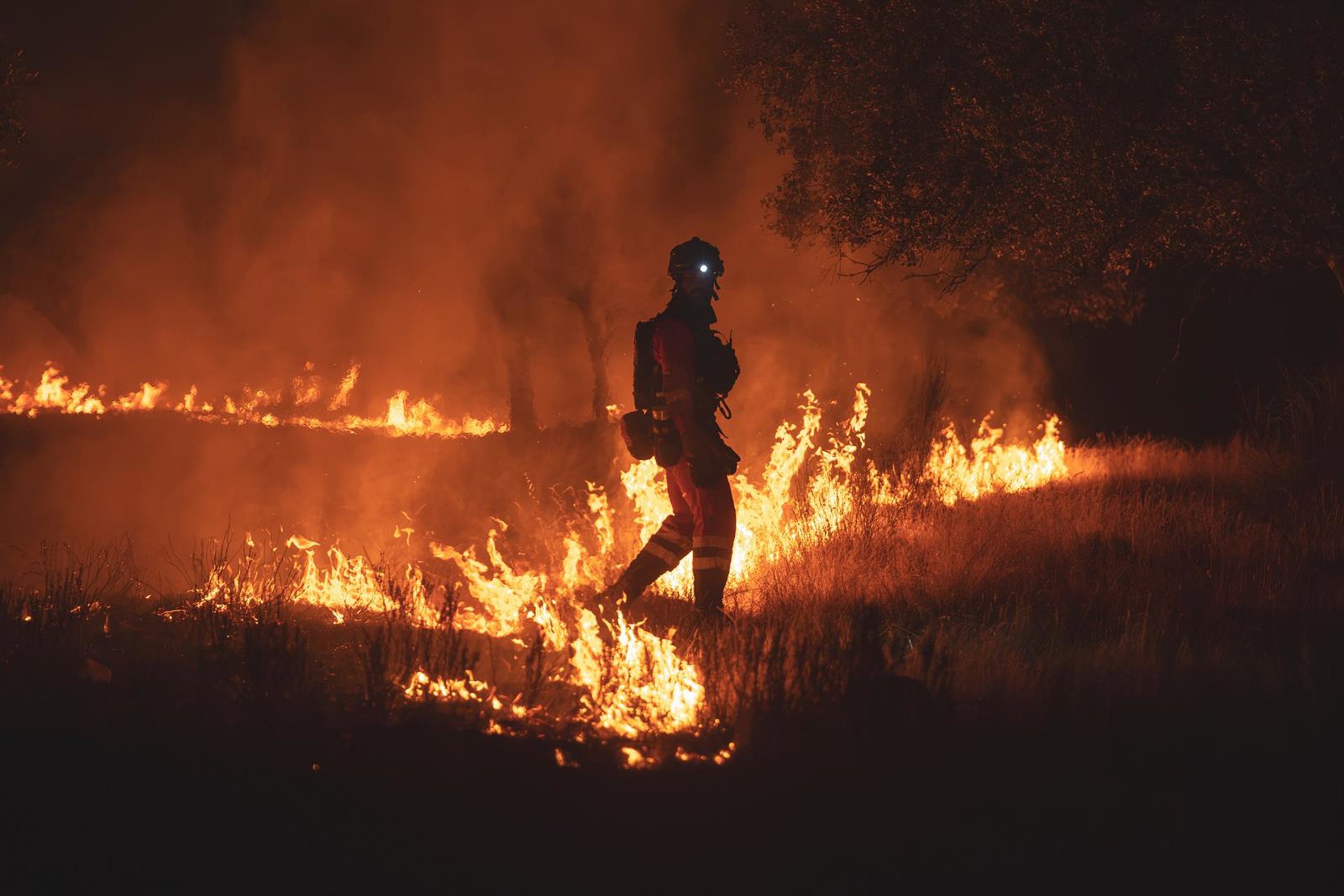 La secretaria de Protección Civil destaca la respuesta y coordinación en el incendio de Almorox-Villa del Prado