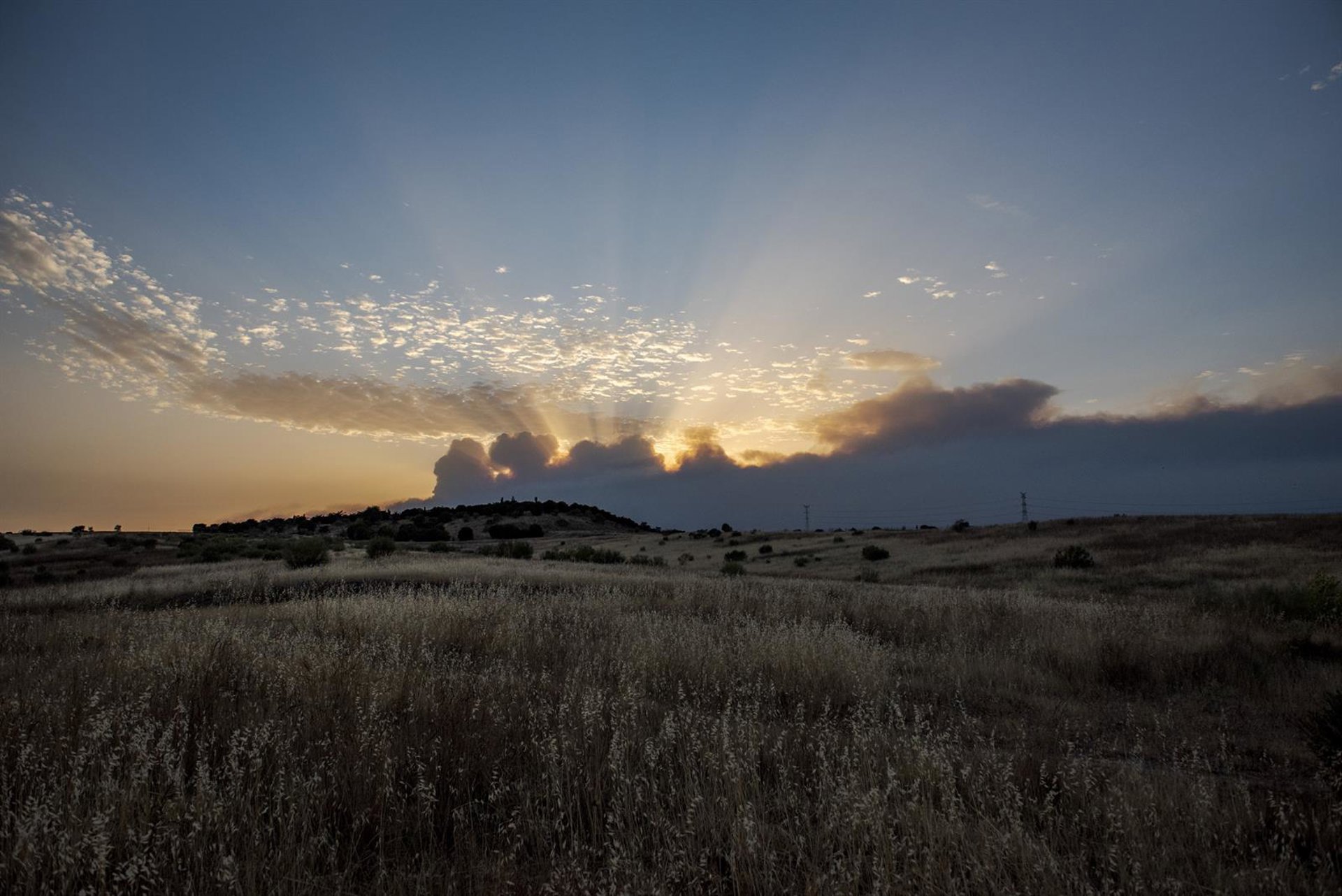 Vox rechaza que la causa de los incendios sea el cambio climático y los atribuye a la «ideología» y la «incompetencia»