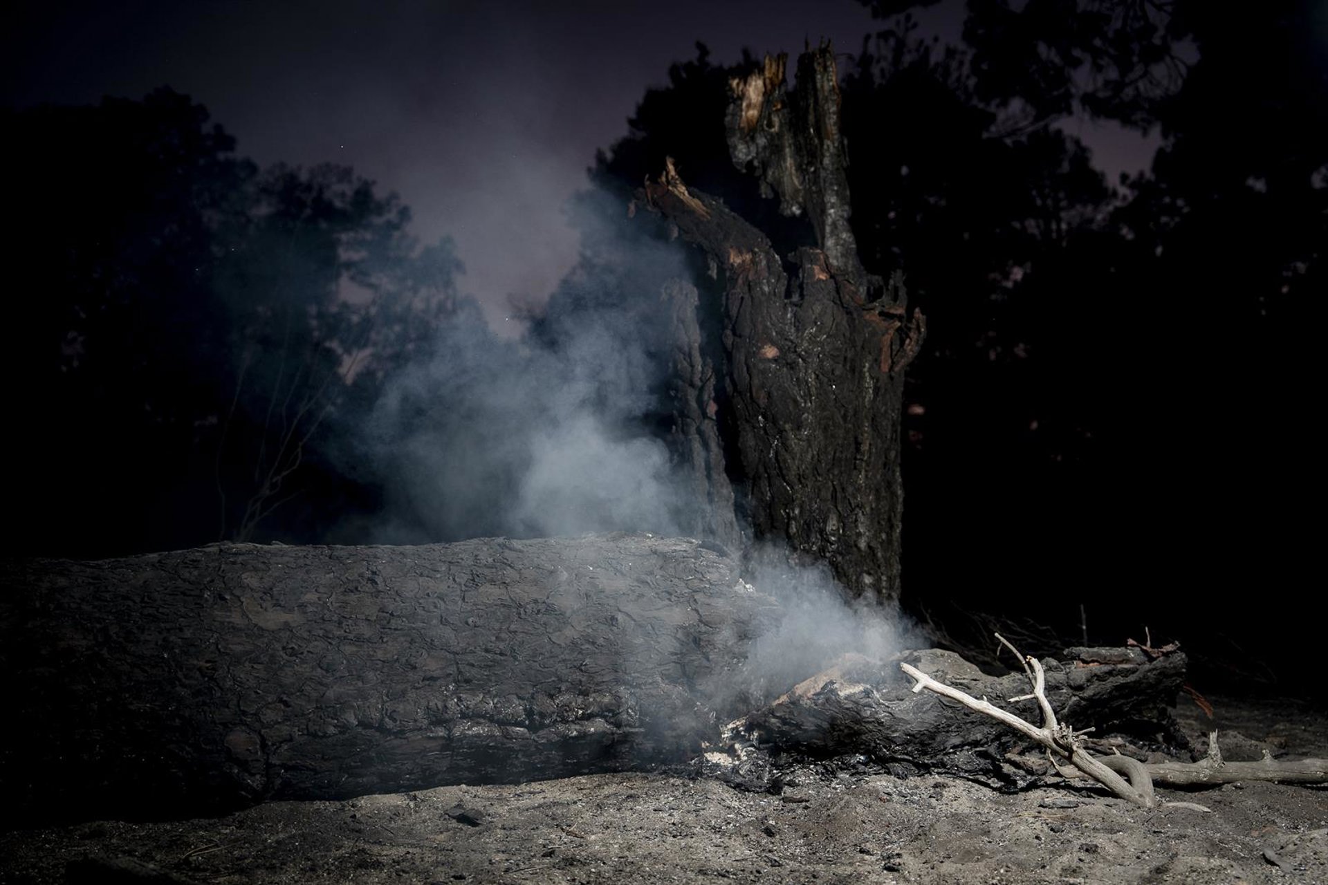 El incendio de Burgohondo no avanza «un centímetro» pero harán falta «muchos días» para estabilizarlo