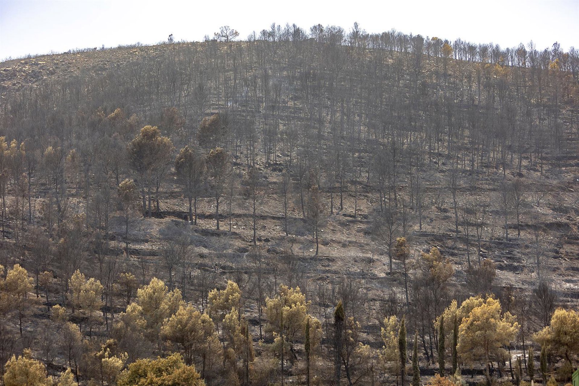 El fuego de la Vall d’Uixó arrasa 9.300 hectáreas y preocupa el flanco entre Tales y Alfondeguilla