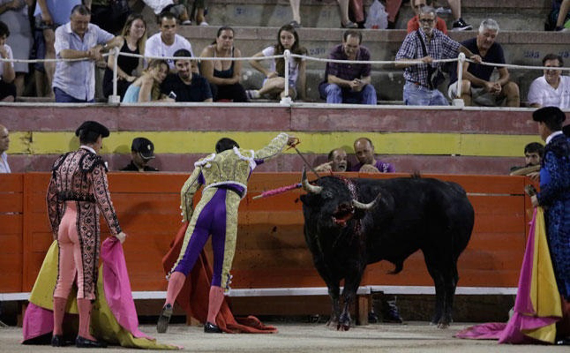 Alertan que los organizadores de una corrida de toros en Palma ofrecen entradas por 10 euros para menores