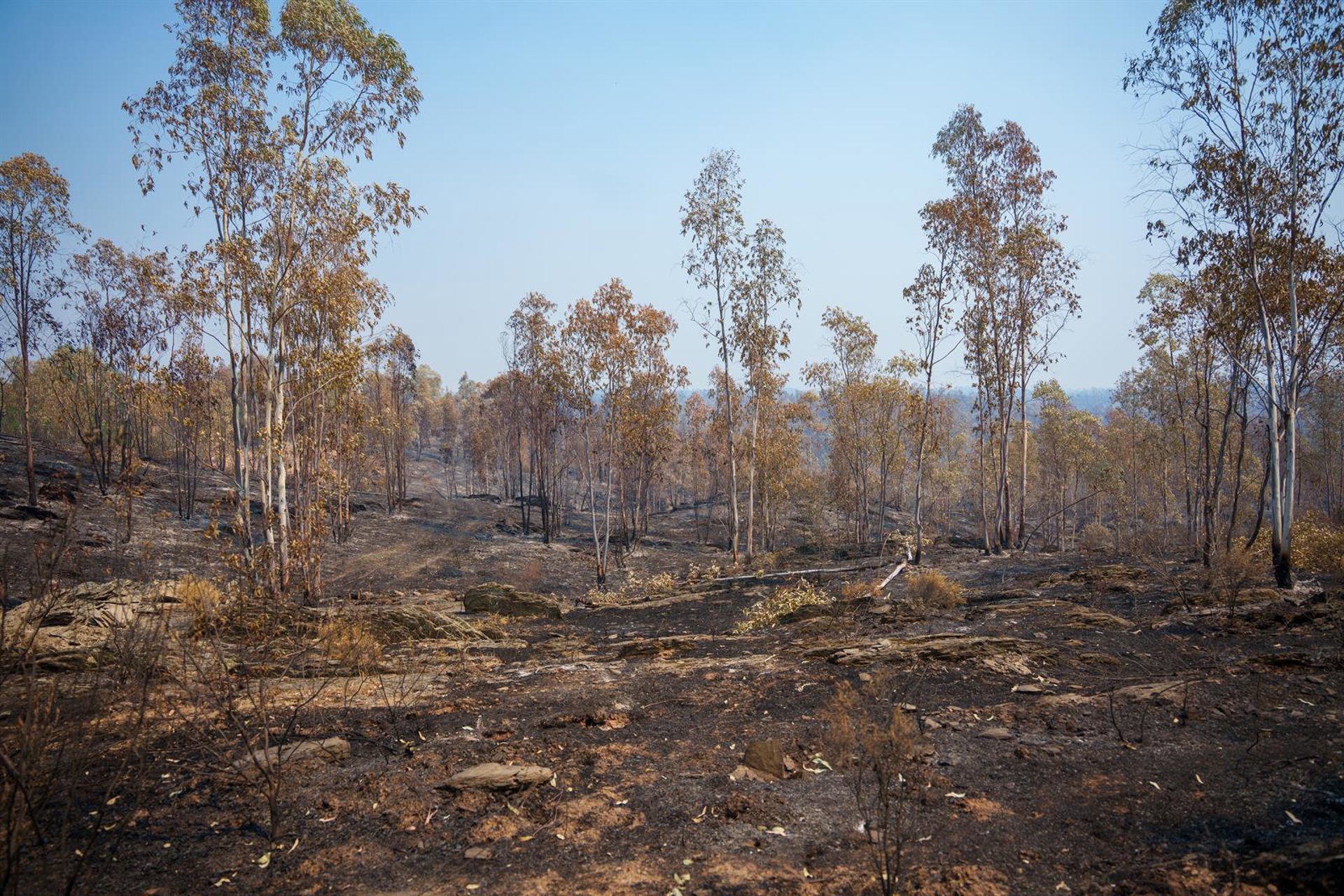 El entorno del incendio de Niebla seguirá con altas temperaturas y un perfil «seco» hasta el sábado