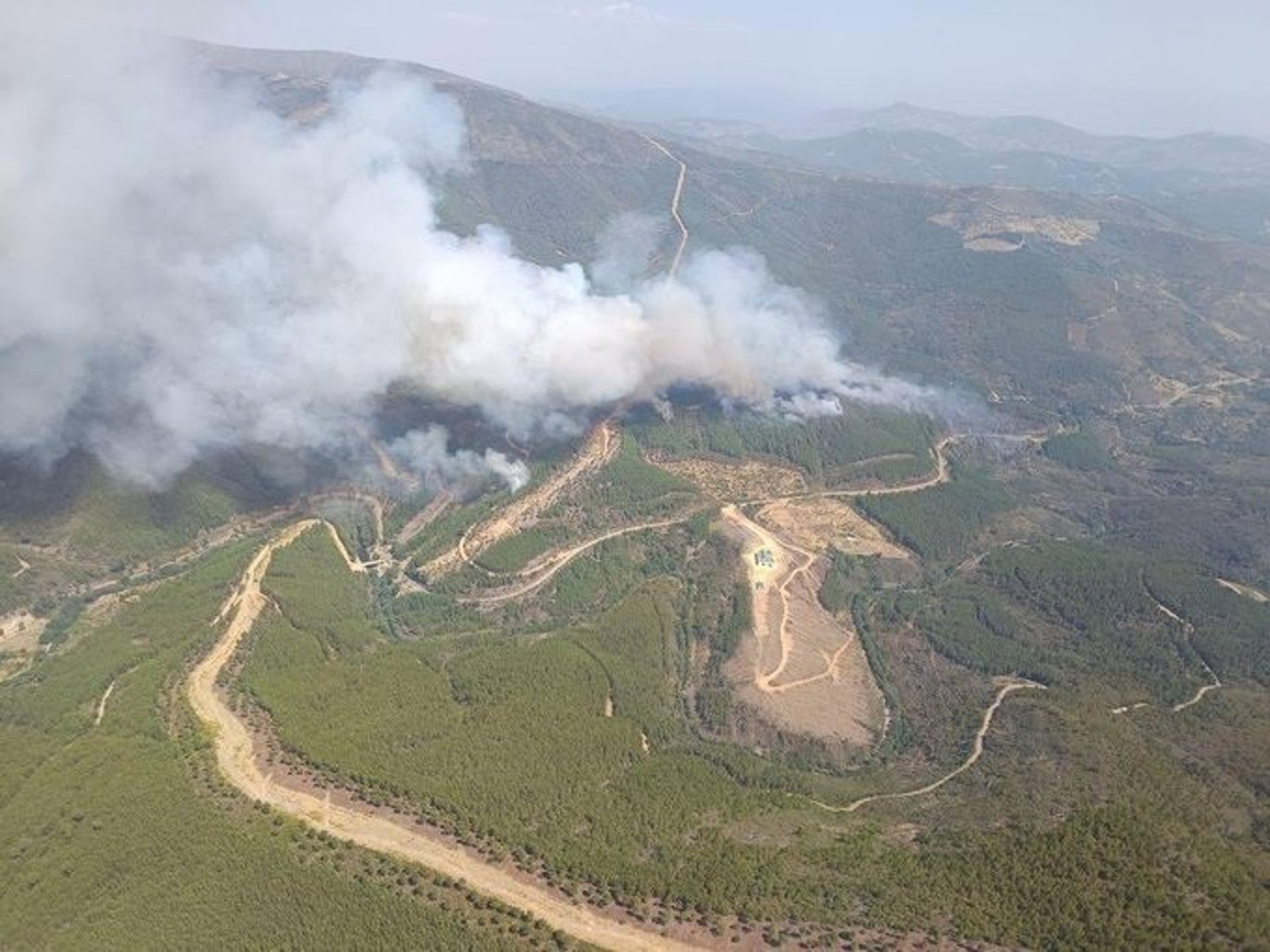 Activado el nivel 2 de peligrosidad en el incendio forestal en Pinofranqueado