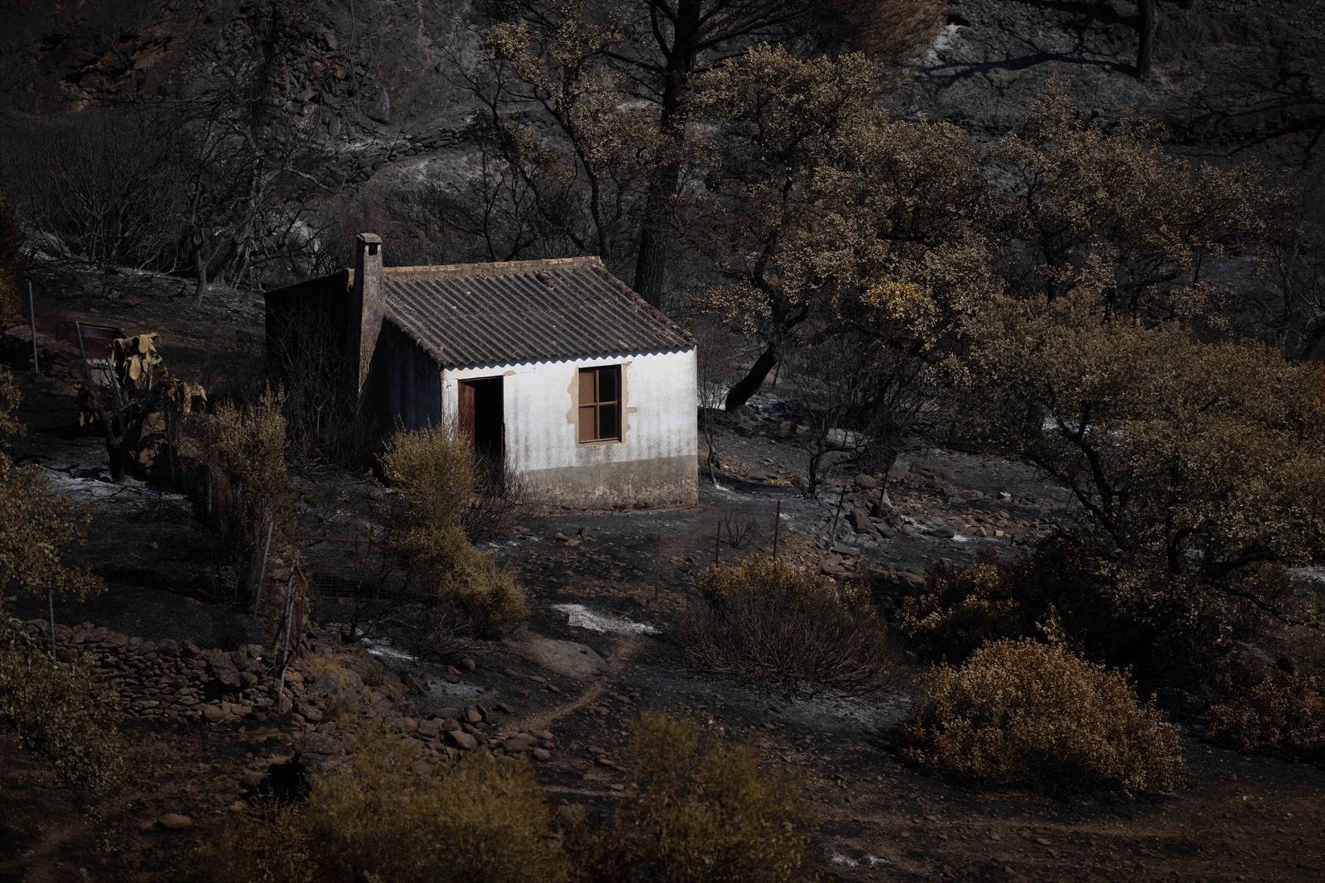 Berrocal pedirá la declaración de zona catastrófica tras el incendio: «El verdadero drama empieza ahora»