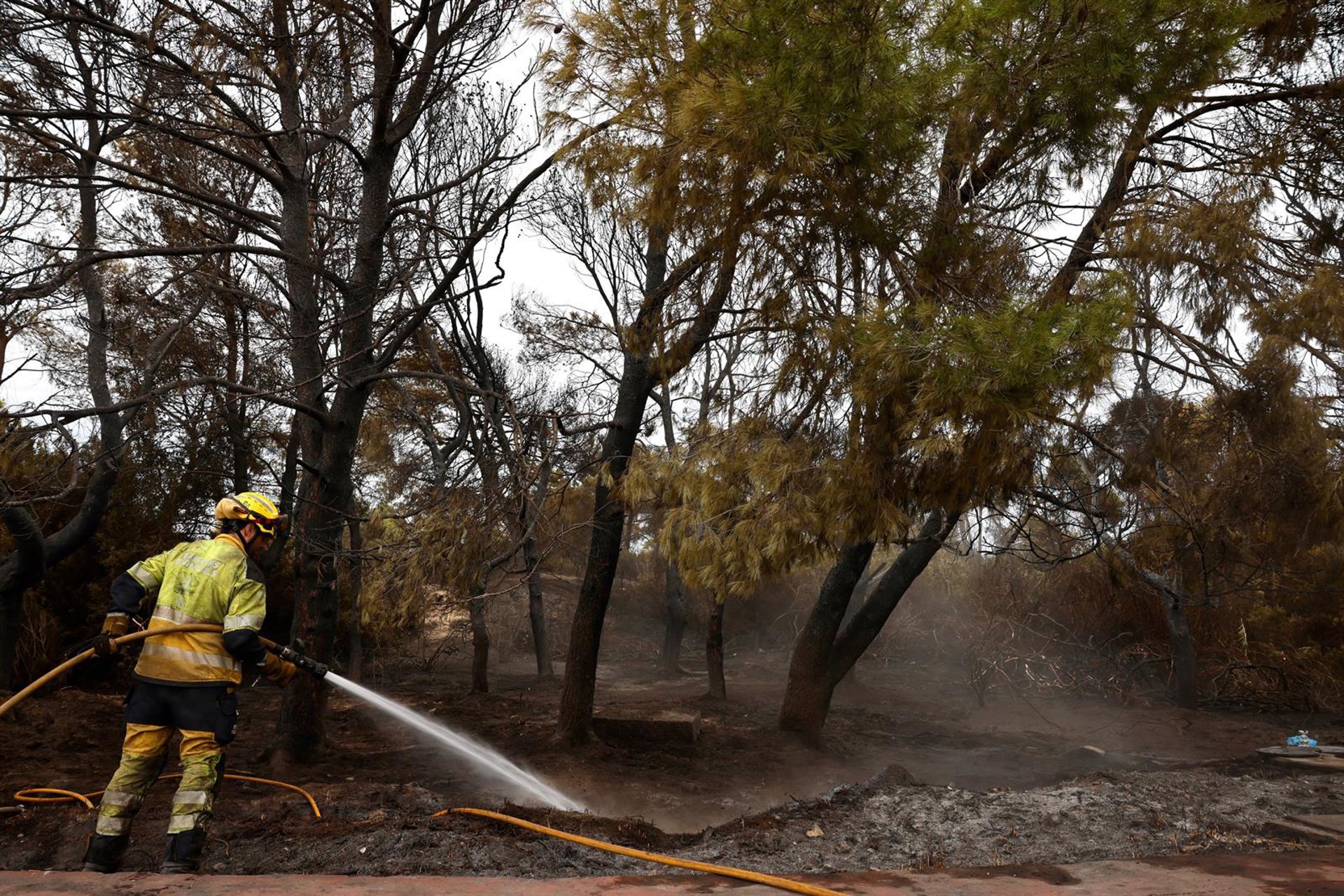 Sucesos.- Seprona descarta causas naturales en el incendio de El Saler y apunta a un fuego intencionado