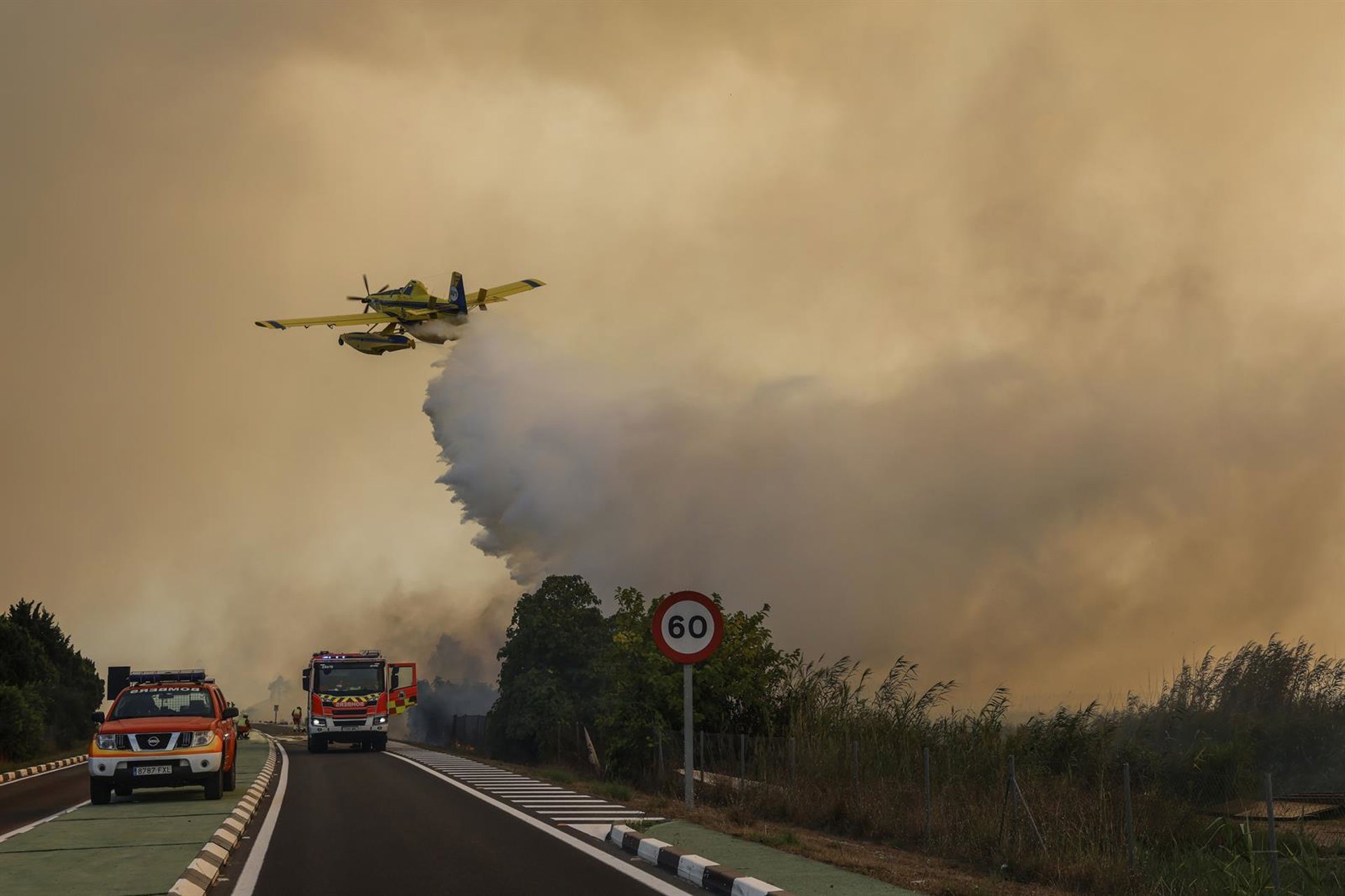 Estabilizado el incendio forestal de El Saler