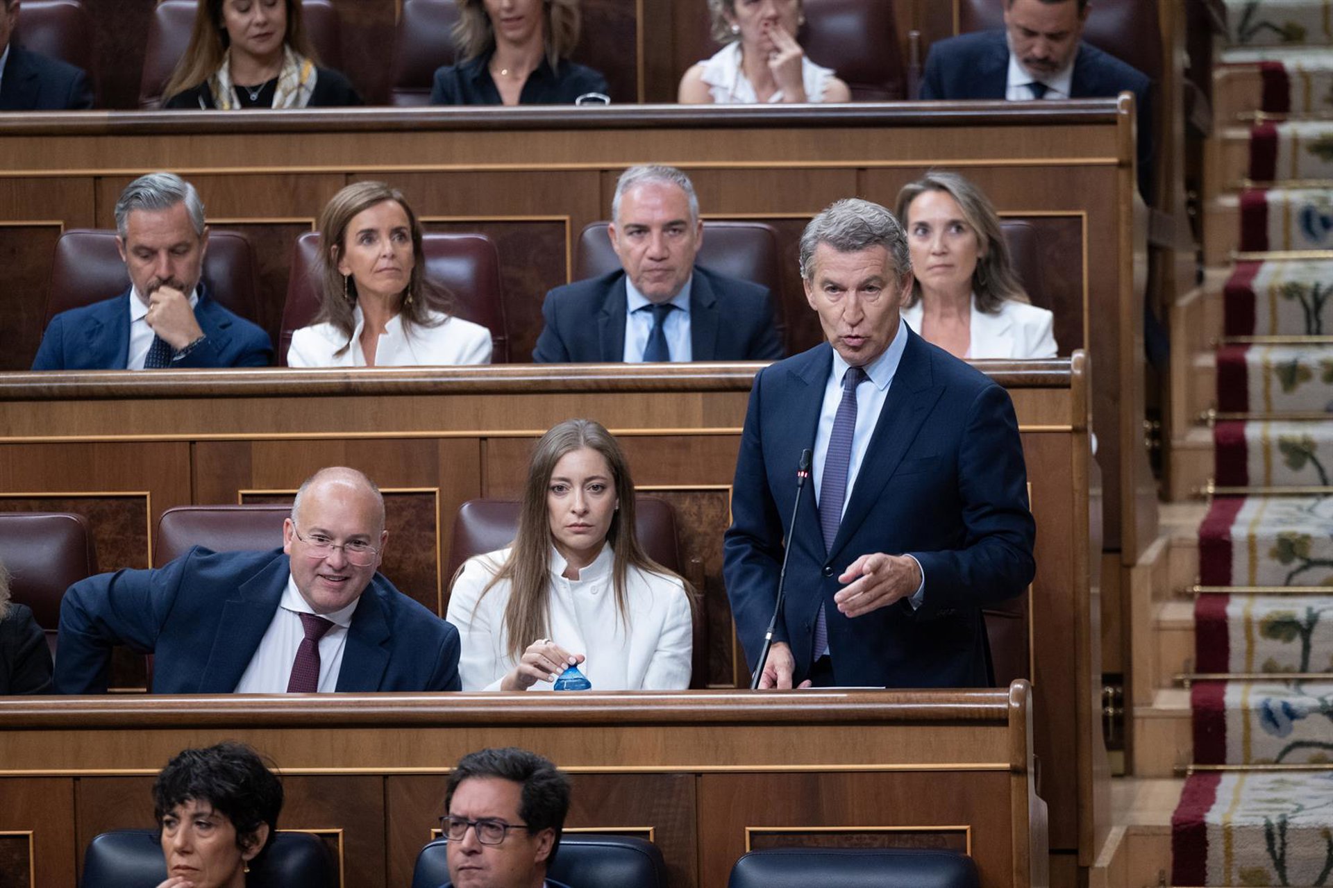 El PP trasladó a la embajadora francesa sus reparos al Tratado de Amistad, que deja fuera las conexiones gasísticas