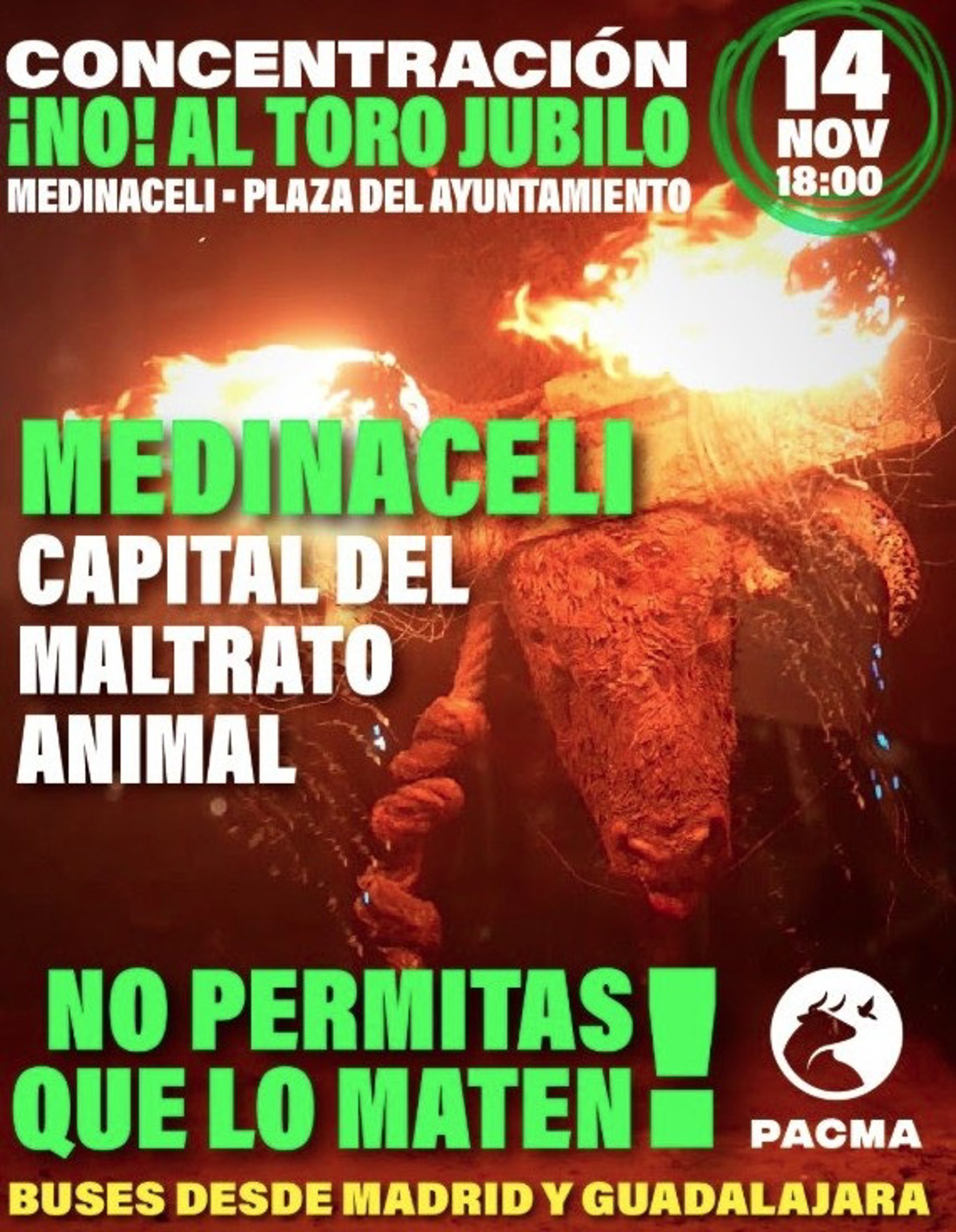 El PACMA convertirá Medinaceli (Soria) en el «nuevo Tordesillas» para erradicar también el Toro Jubilo